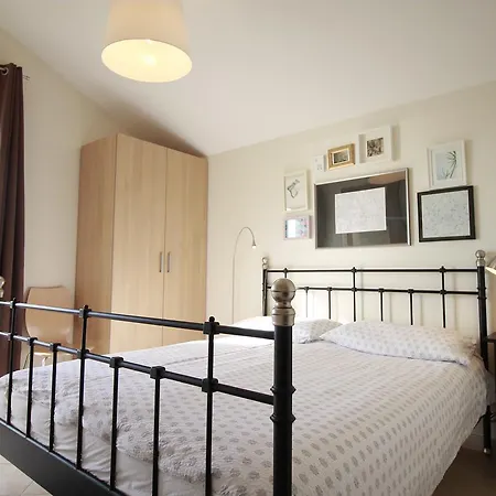 Marer * טרוגיר